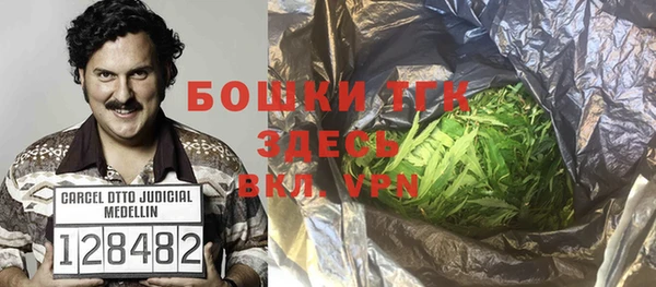 прущие грибы Нея