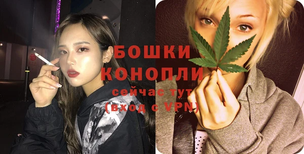 прущие грибы Нея