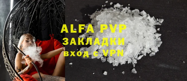 прущие грибы Нея