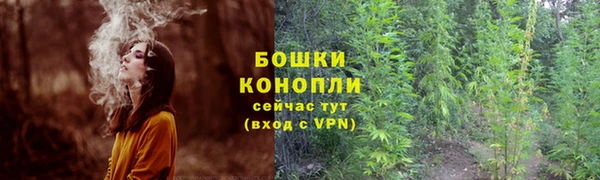 прущие грибы Нея