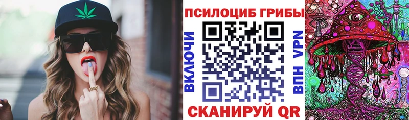 Псилоцибиновые грибы GOLDEN TEACHER  Купить  Приморско-Ахтарск 
